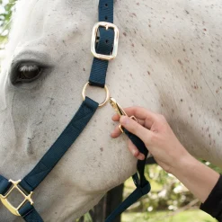 Shedrow Deluxe Halter