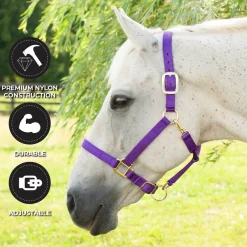 Shedrow Deluxe Halter