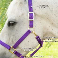 Shedrow Deluxe Halter