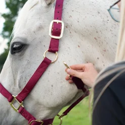 Shedrow Deluxe Halter