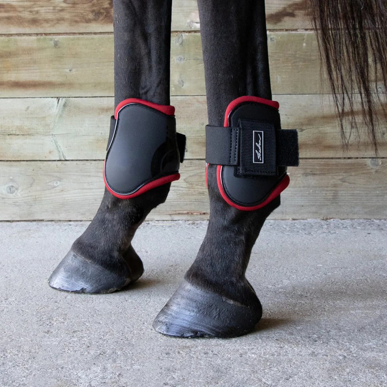 Shedrow Fetlock Boots W/ Coloured Lining