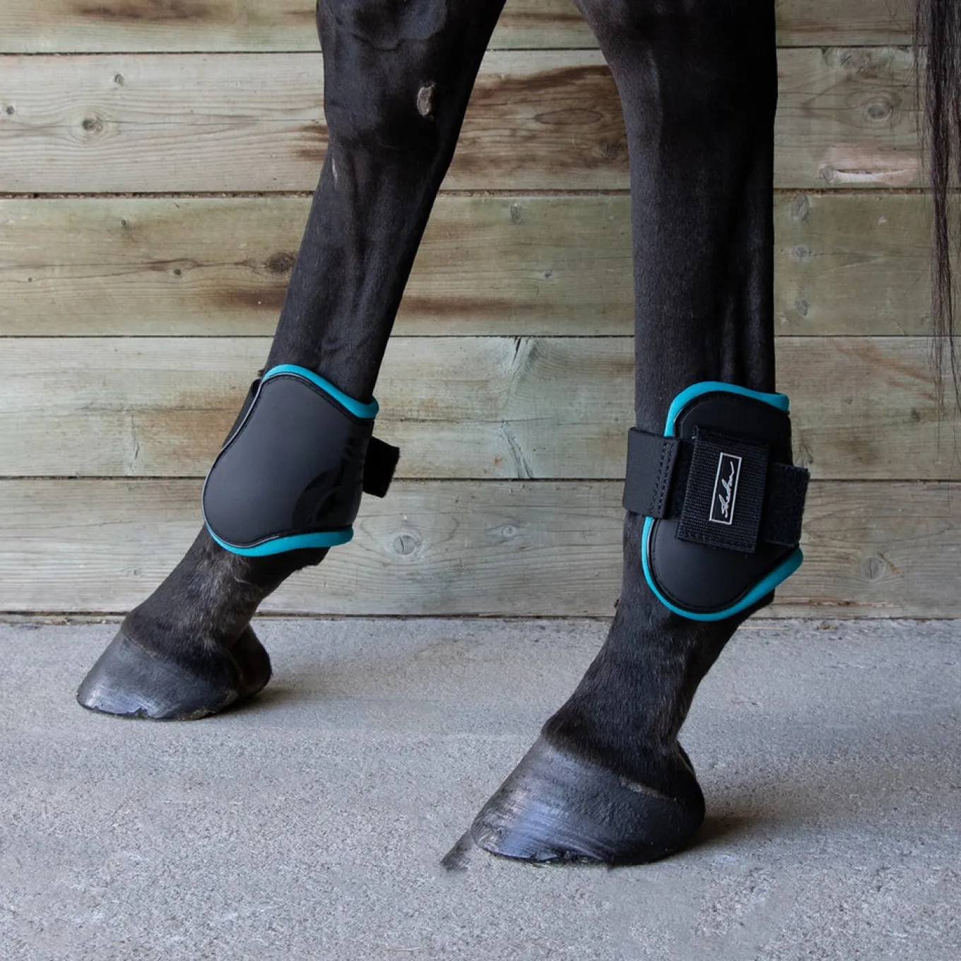 Shedrow Fetlock Boots W/ Coloured Lining
