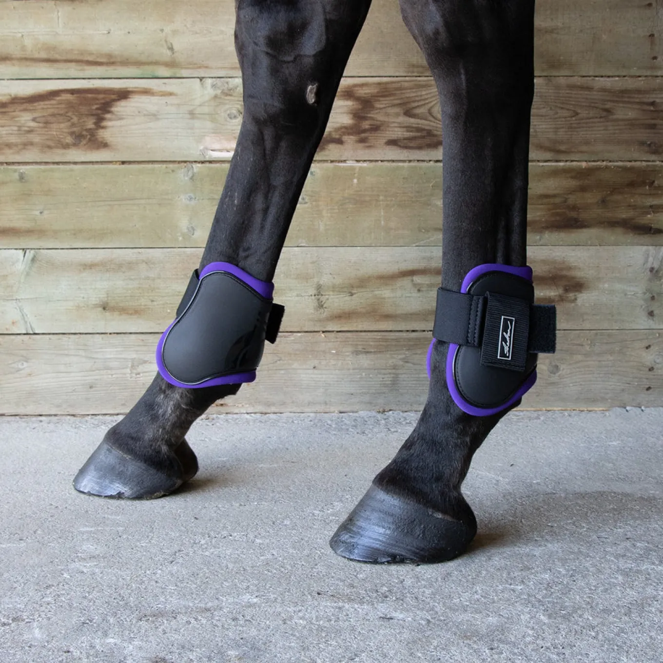 Shedrow Fetlock Boots W/ Coloured Lining