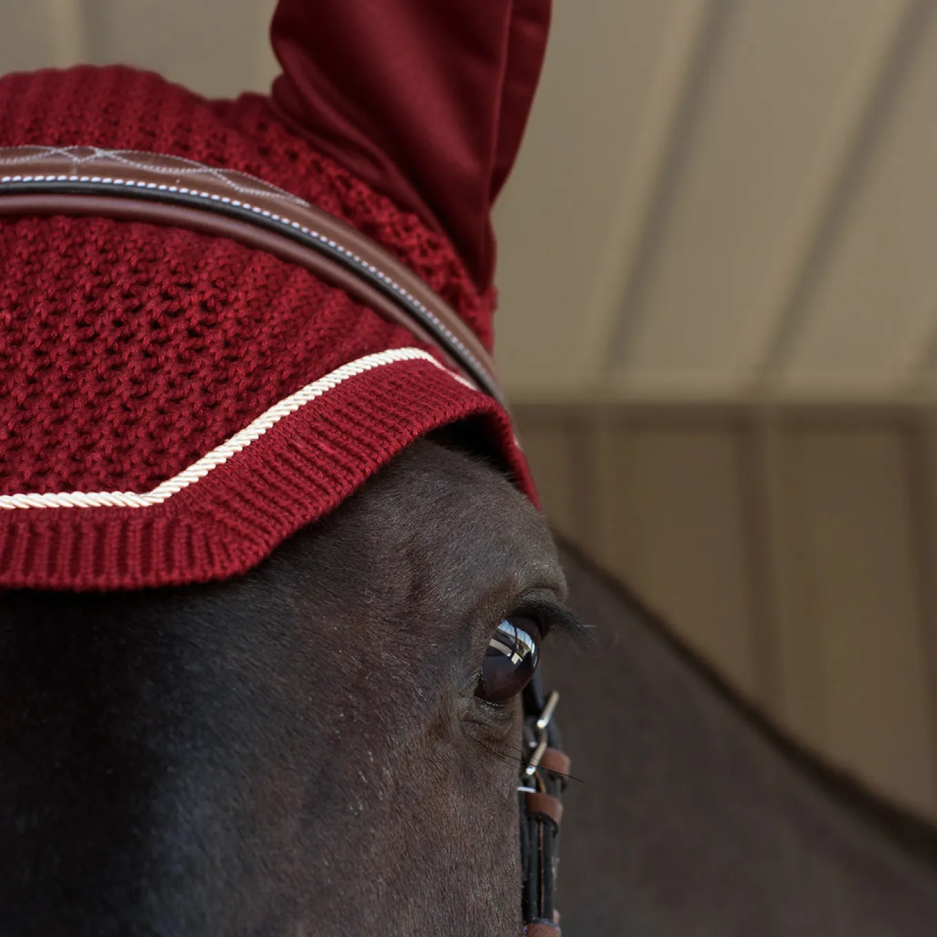 Shedrow Fly Veil