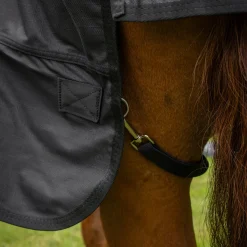 Shedrow Full Neck Rainsheet 0 g
