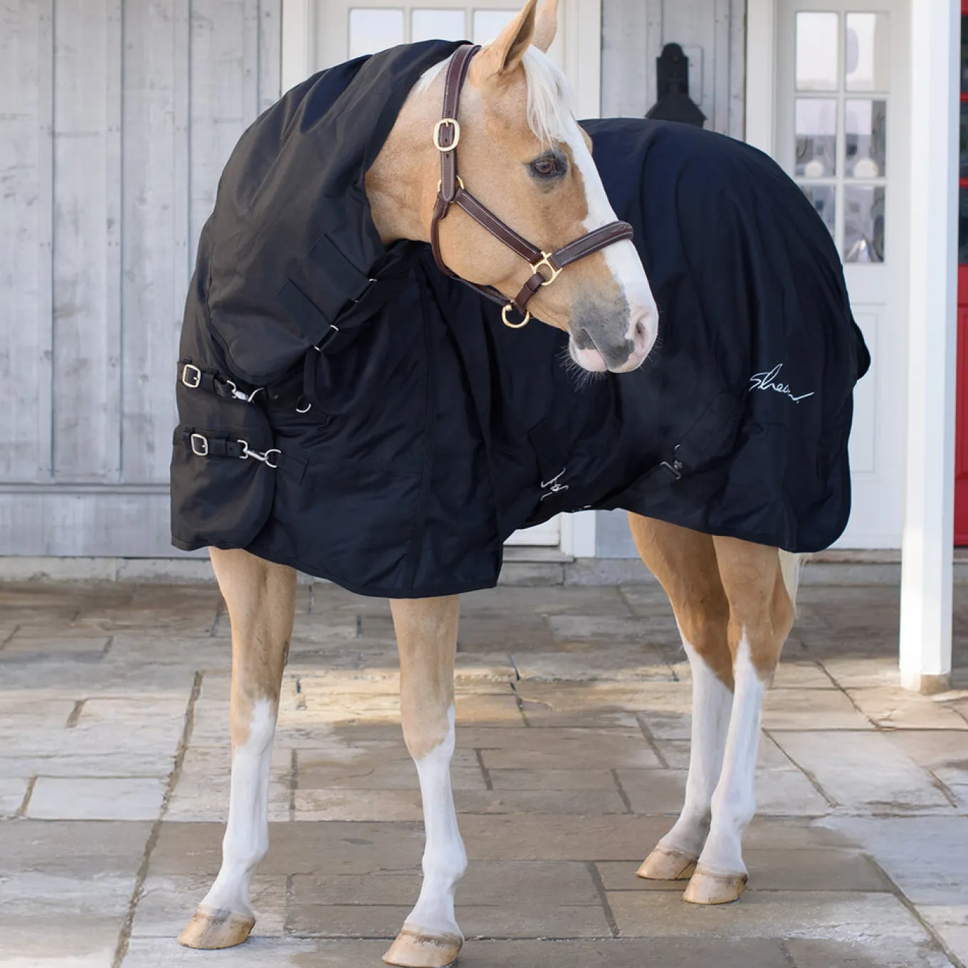 Shedrow Full Neck Rainsheet 0 g