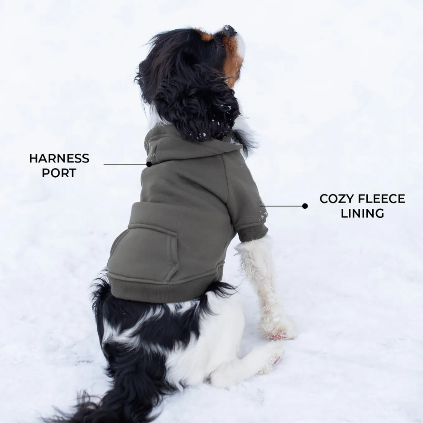 Shedrow K9 Brentwood Dog Hoodie