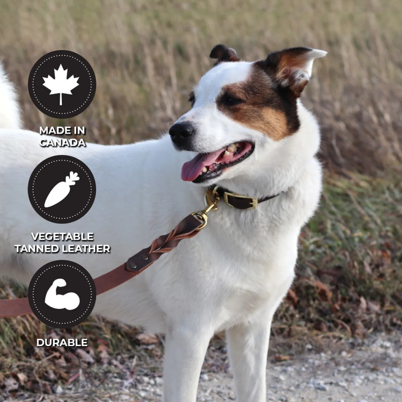 Shedrow K9 Bristol Twisted Leather Leash 1.5 m