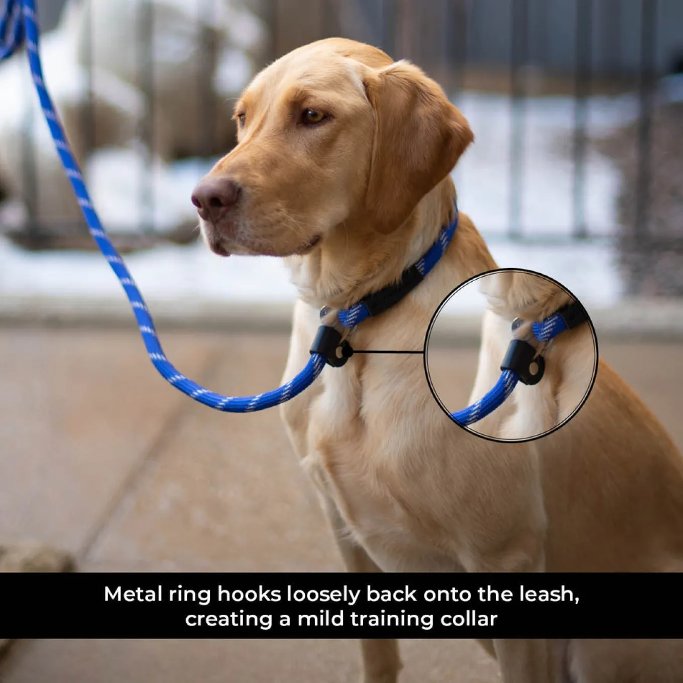Shedrow K9 Camino Rope Slip Leash