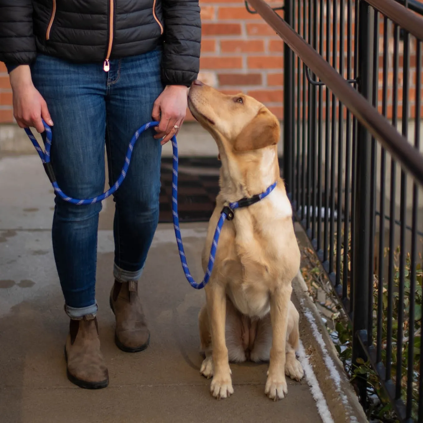 Shedrow K9 Camino Rope Slip Leash