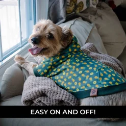 Shedrow K9 Canmore Dog Hoodie
