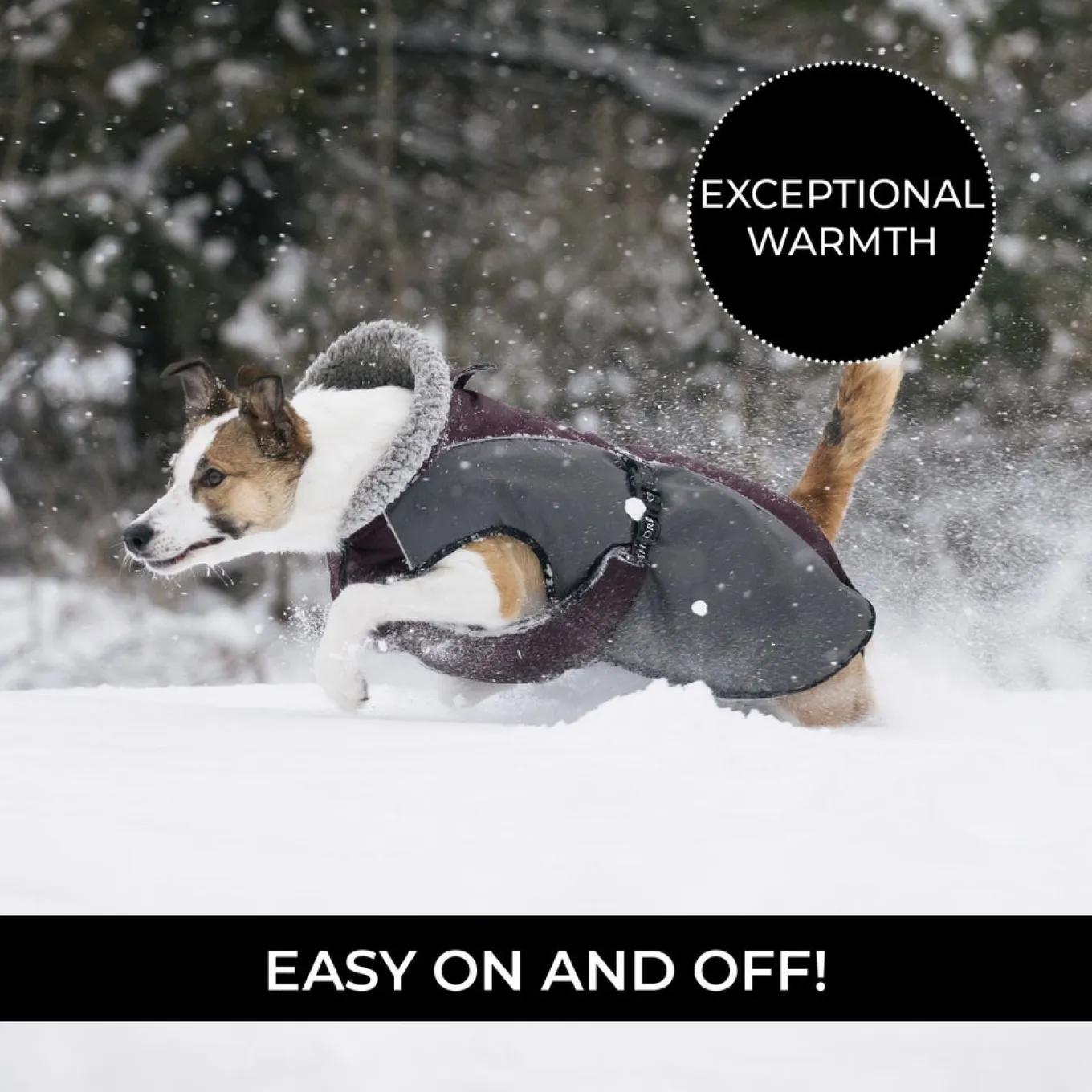 Shedrow K9 Chinook Dog Coat