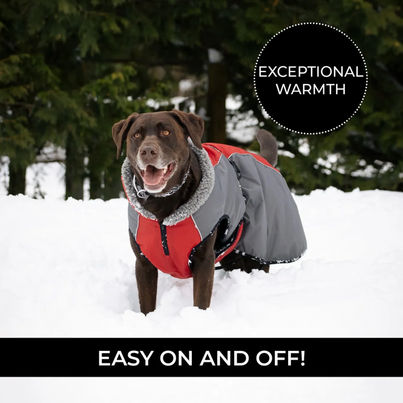 Shedrow K9 Chinook Dog Coat