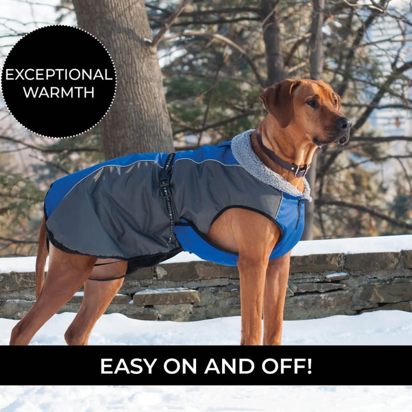 Shedrow K9 Chinook Dog Coat