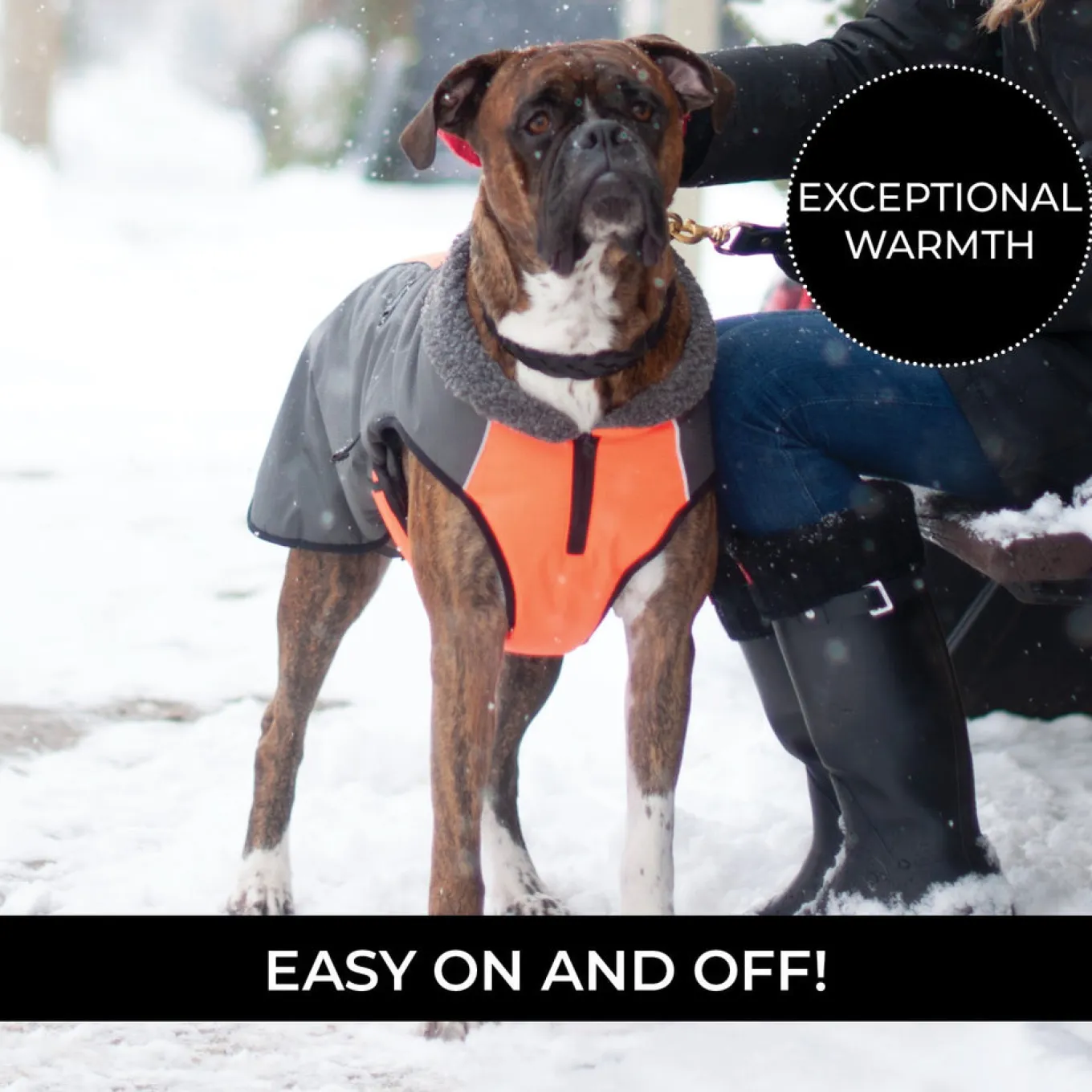 Shedrow K9 Chinook Dog Coat