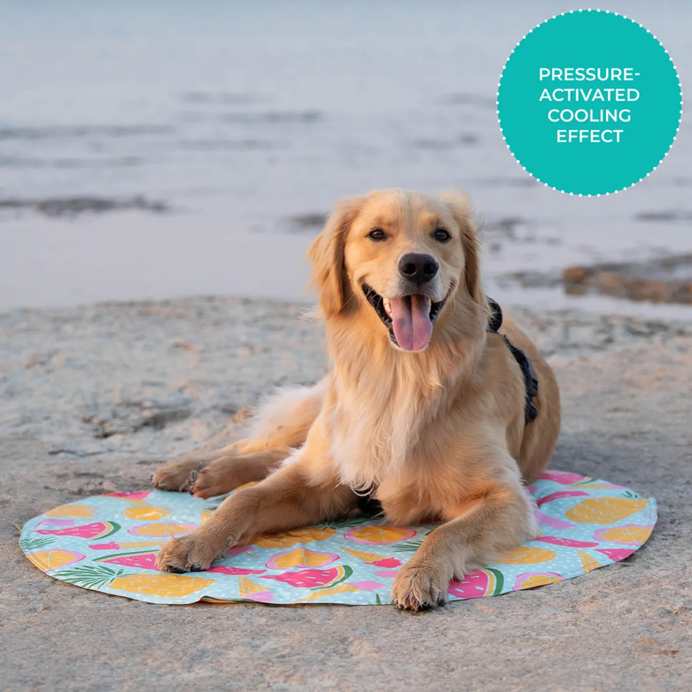 Shedrow K9 Cooling Mat
