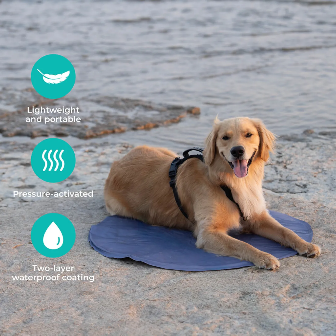 Shedrow K9 Cooling Mat