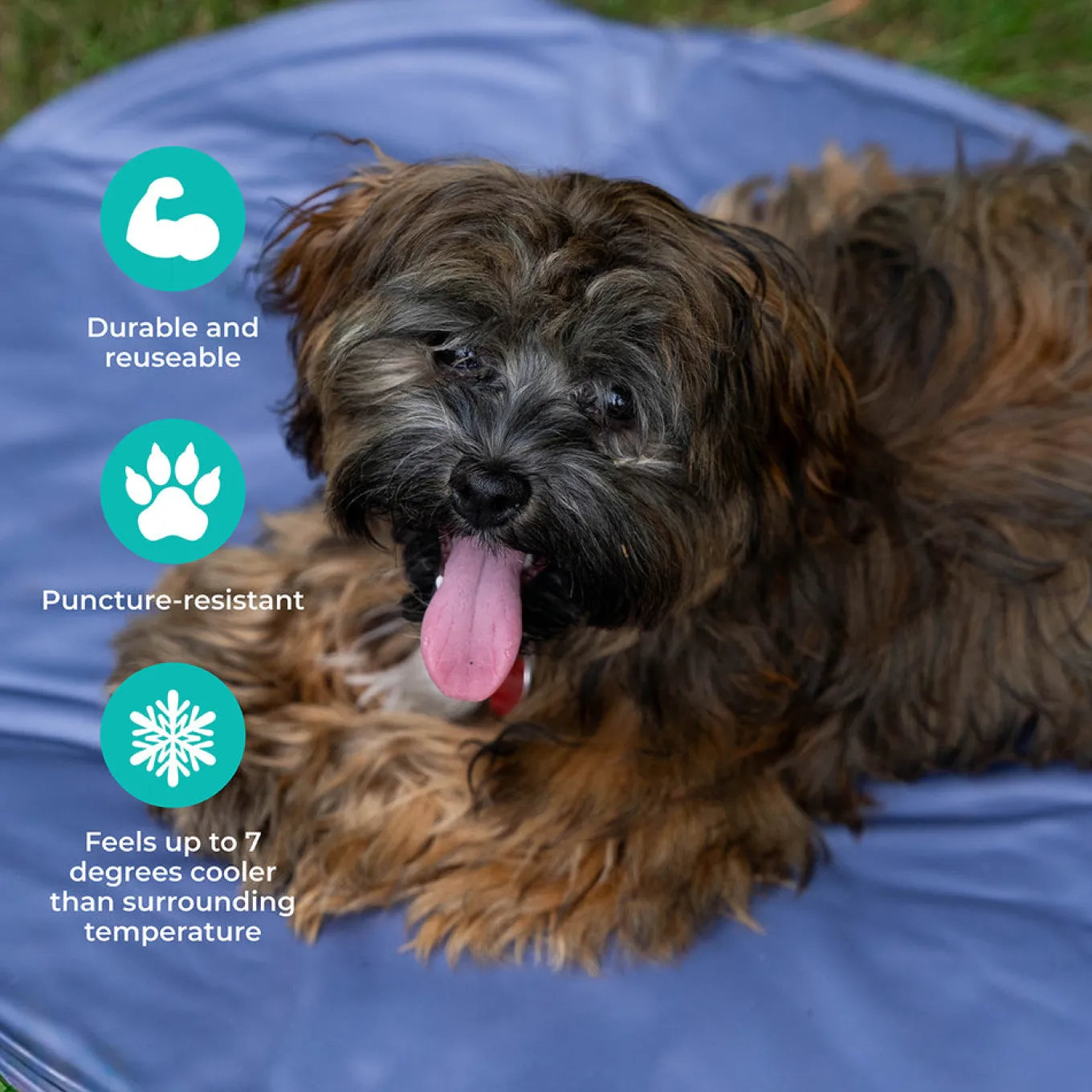 Shedrow K9 Cooling Mat