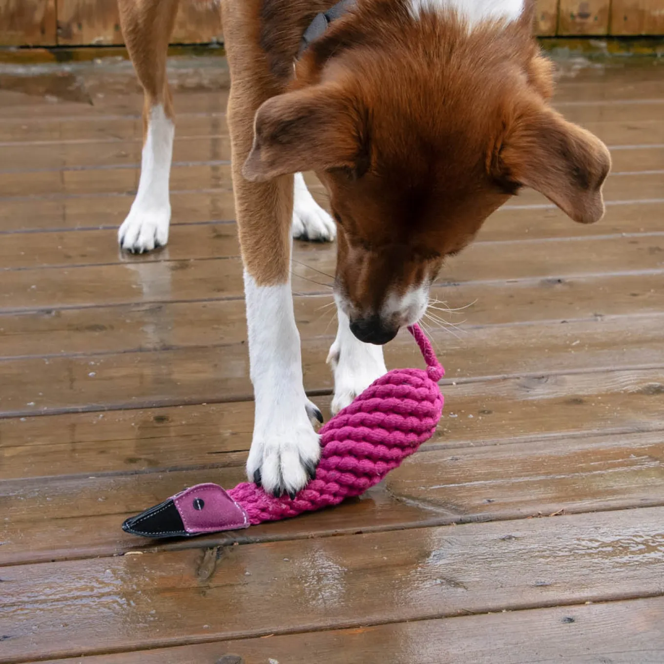 Shedrow K9 Flamingo Rope & Water Bottle Dog Toy
