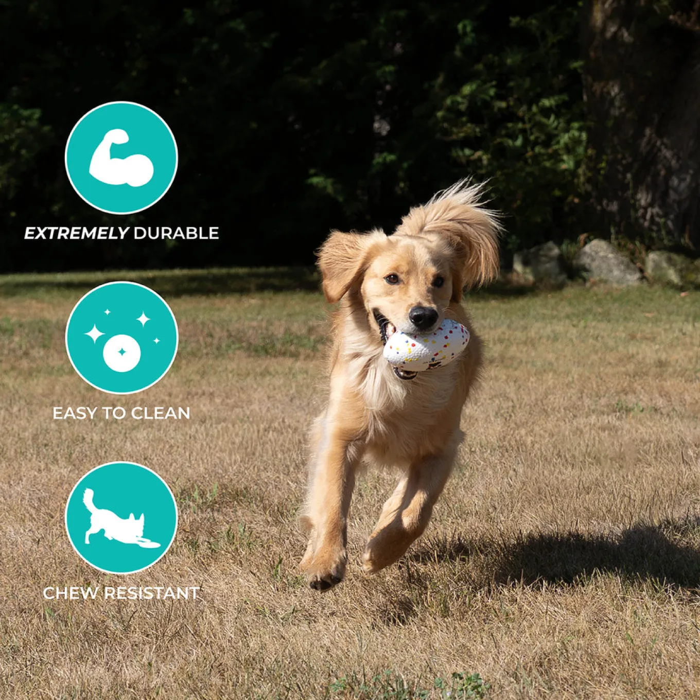 Shedrow K9 FlexiPlay Football