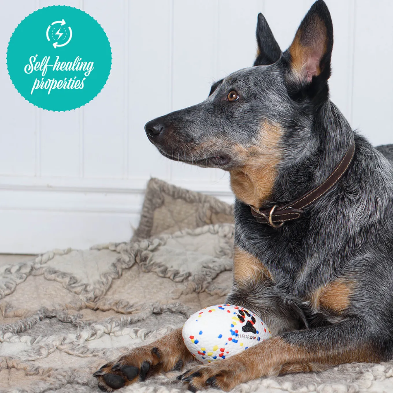Shedrow K9 FlexiPlay Football