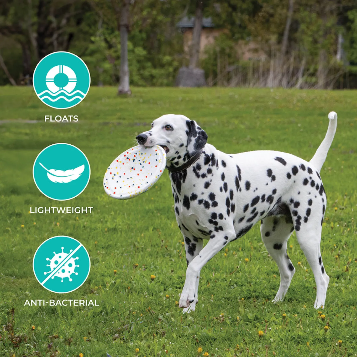 Shedrow K9 FlexiPlay Frisbee