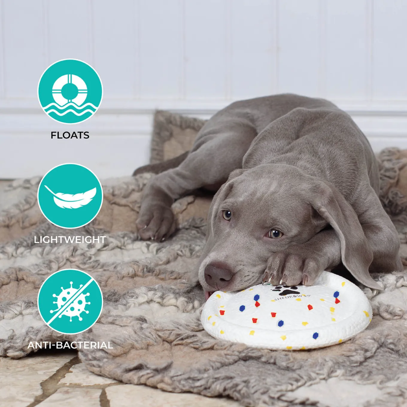 Shedrow K9 FlexiPlay Frisbee