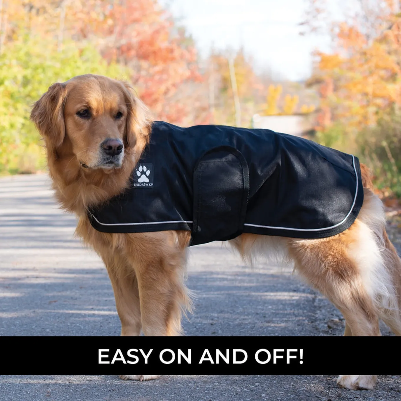 Shedrow K9 Harbour 2.0 Rain Coat