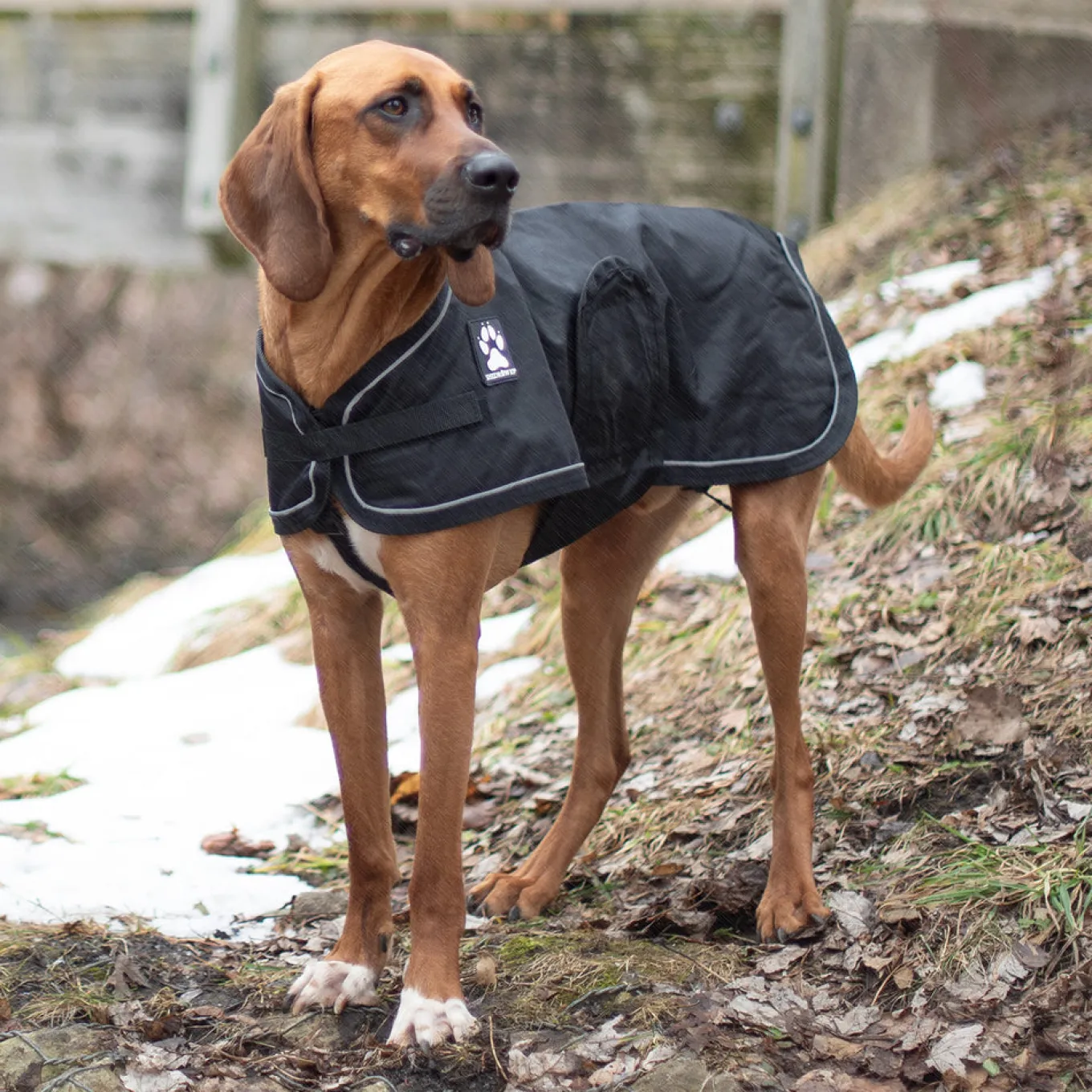 Shedrow K9 Harbour 2.0 Rain Coat