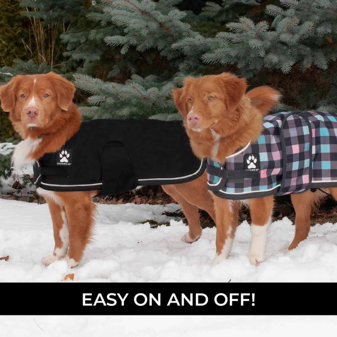 Shedrow K9 Harbour Rain Coat