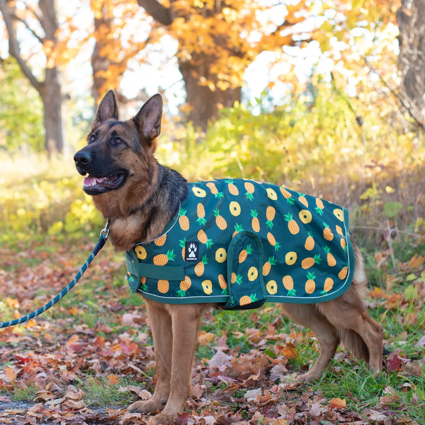 Shedrow K9 Harbour Rain Coat