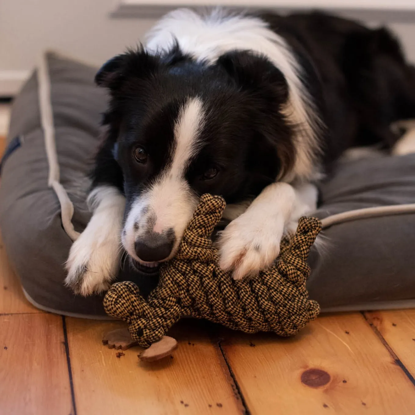 Shedrow K9 Moose Rope Dog Toy