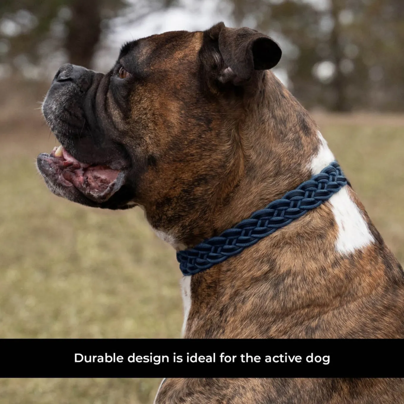 Shedrow K9 Rideau Braided Rope & Leather Collar