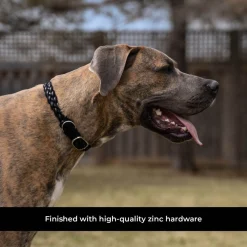 Shedrow K9 Rideau Braided Rope & Leather Collar