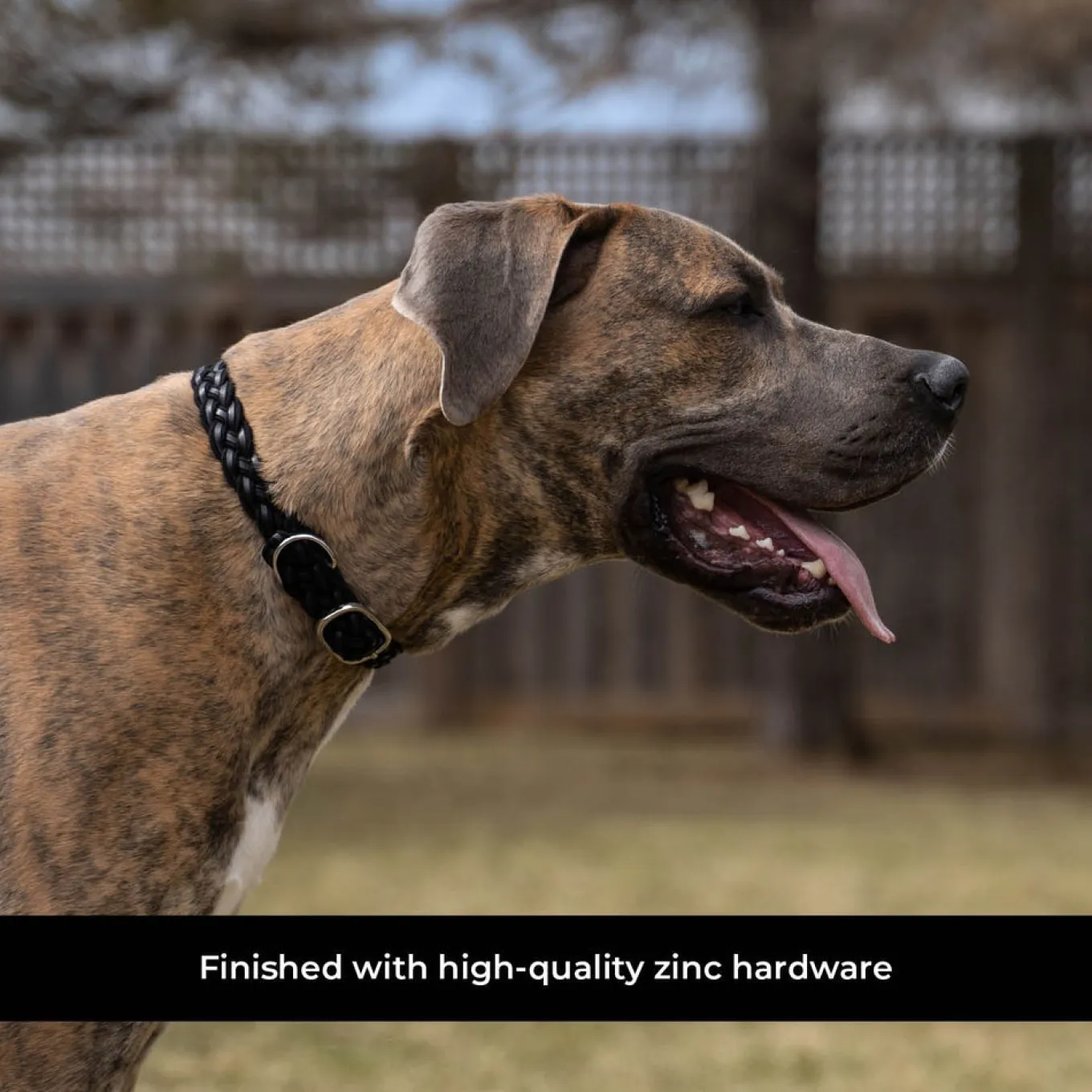 Shedrow K9 Rideau Braided Rope & Leather Collar