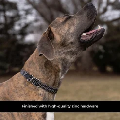 Shedrow K9 Rideau Braided Rope & Leather Collar