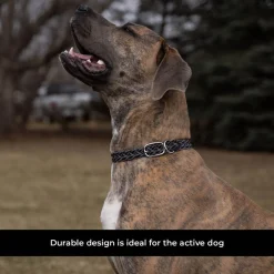 Shedrow K9 Rideau Braided Rope & Leather Collar