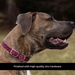 Shedrow K9 Rideau Braided Rope & Leather Collar