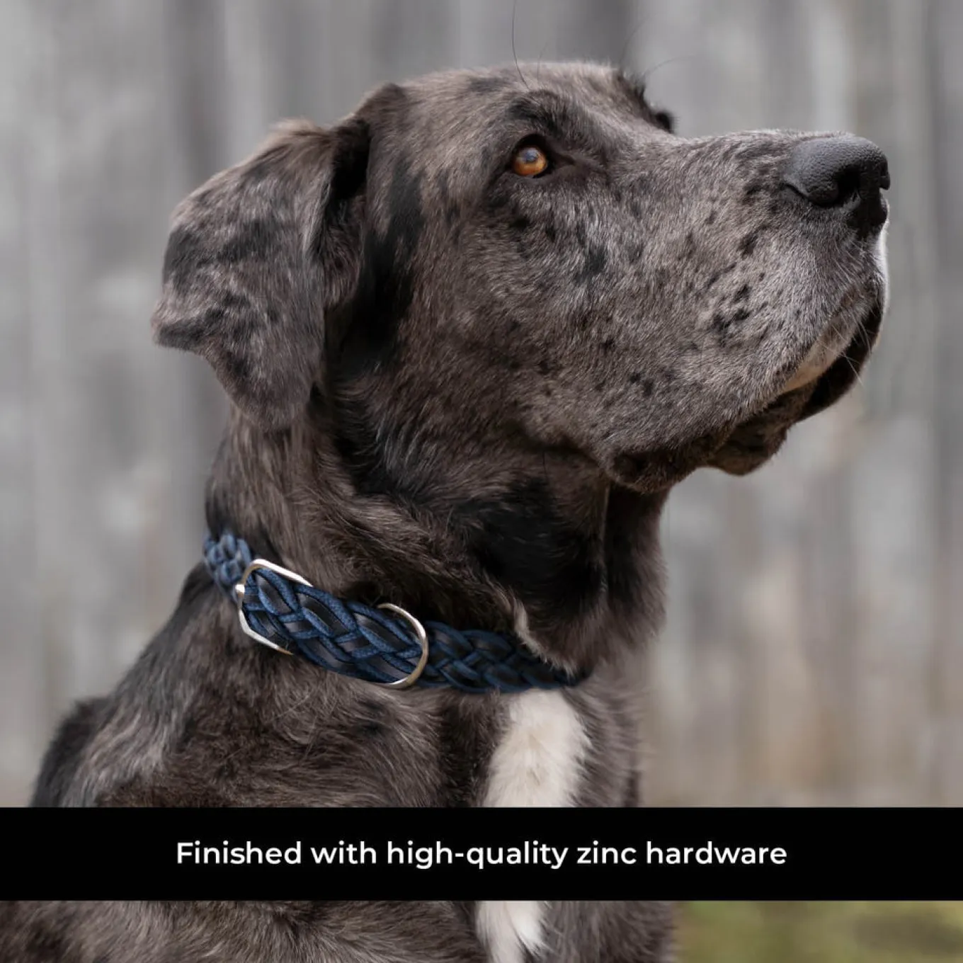 Shedrow K9 Rideau Braided Rope & Leather Collar