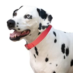 Shedrow K9 Tofino II Waterproof Collar