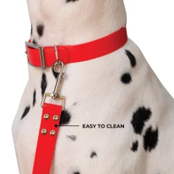 Shedrow K9 Tofino II Waterproof Leash 1.5 m
