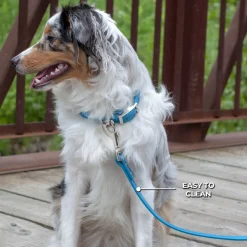 Shedrow K9 Tofino II Waterproof Leash 1.5 m