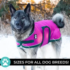 Shedrow K9 Vail Dog Coat
