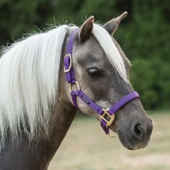 Shedrow Mini Nylon Halter