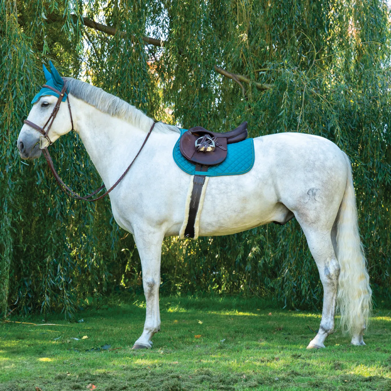 Shedrow Original Saddle Pad 2.0