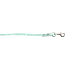 Shedrow Pony Poly Lead