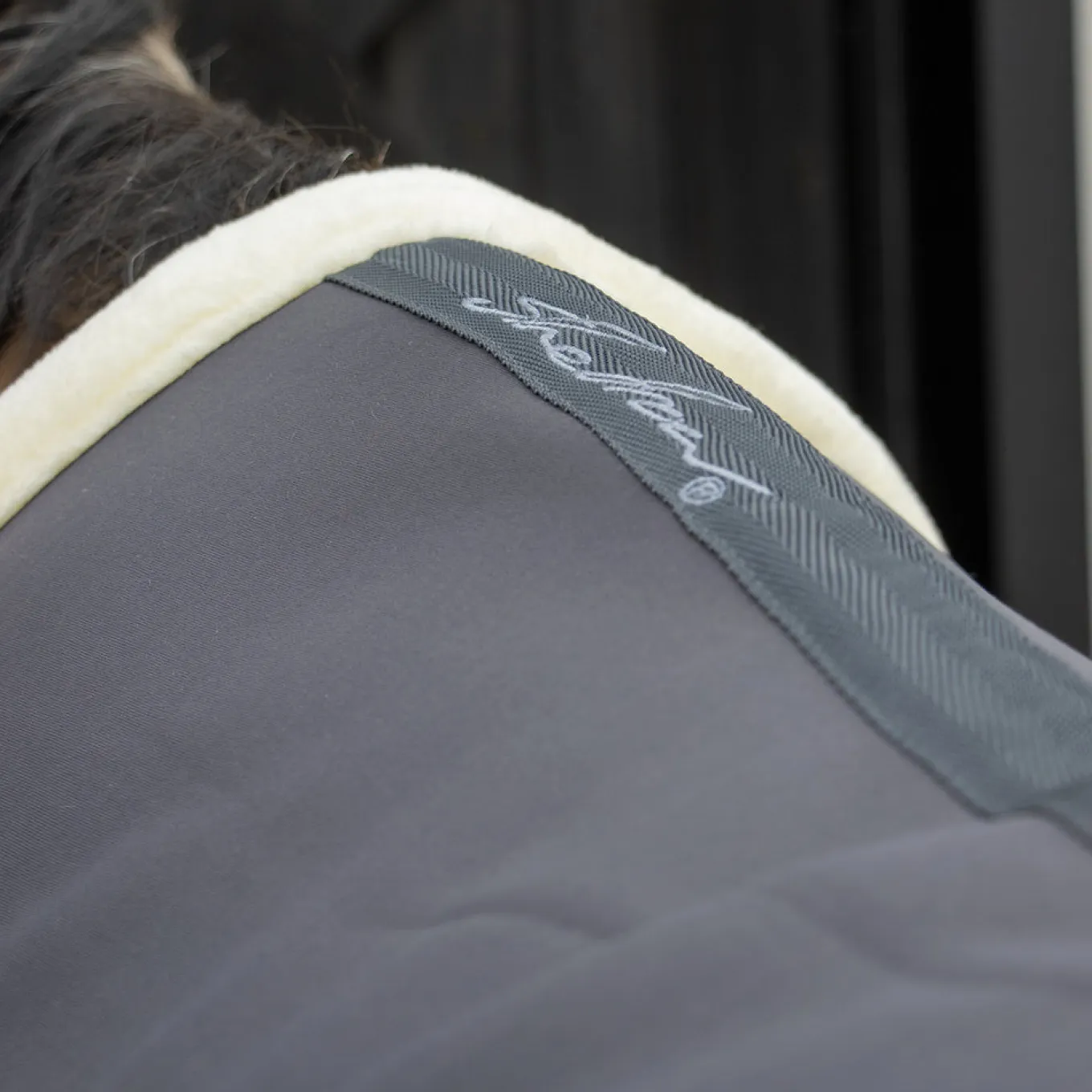 Shedrow Soft Shell Cooler