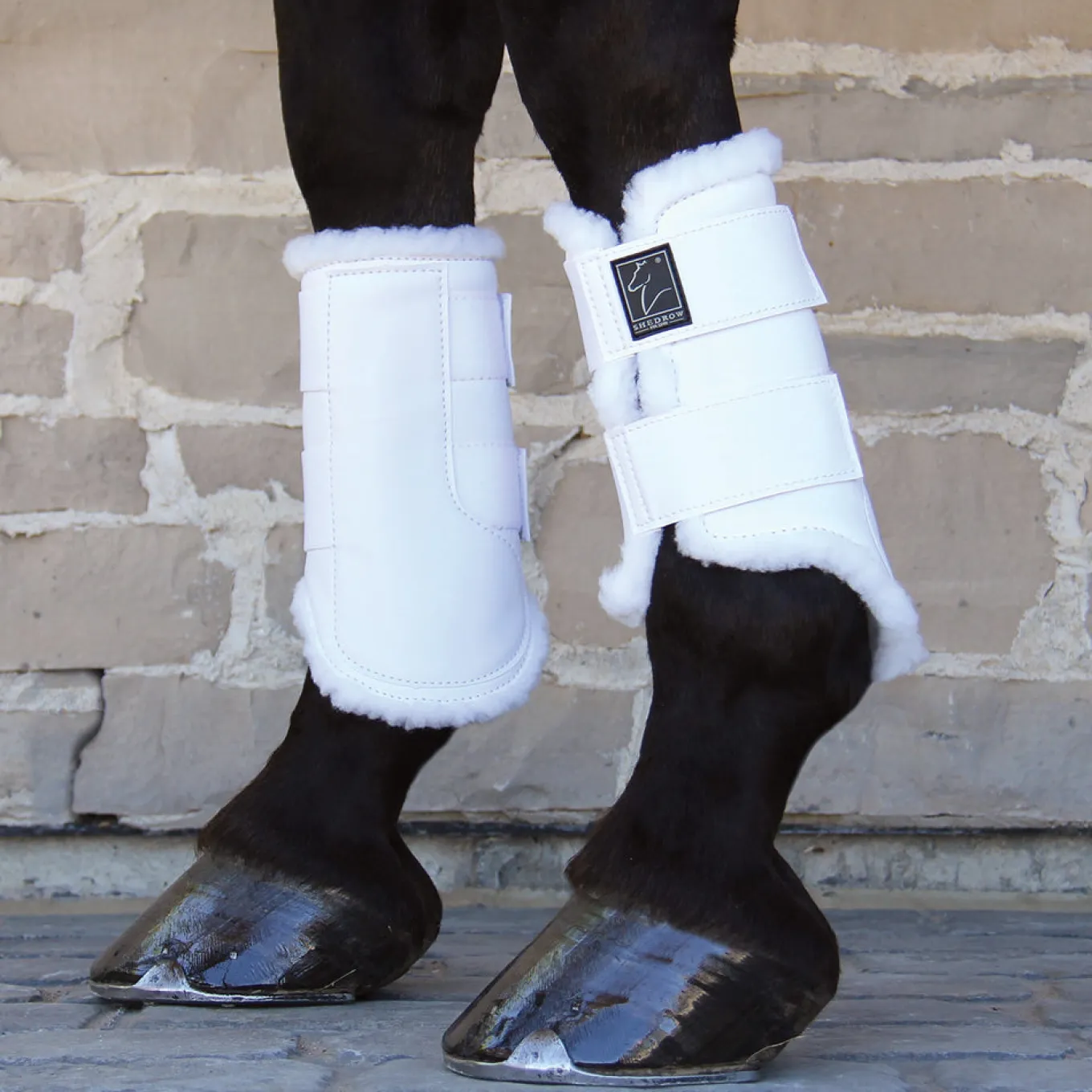 Shedrow Sport Boots