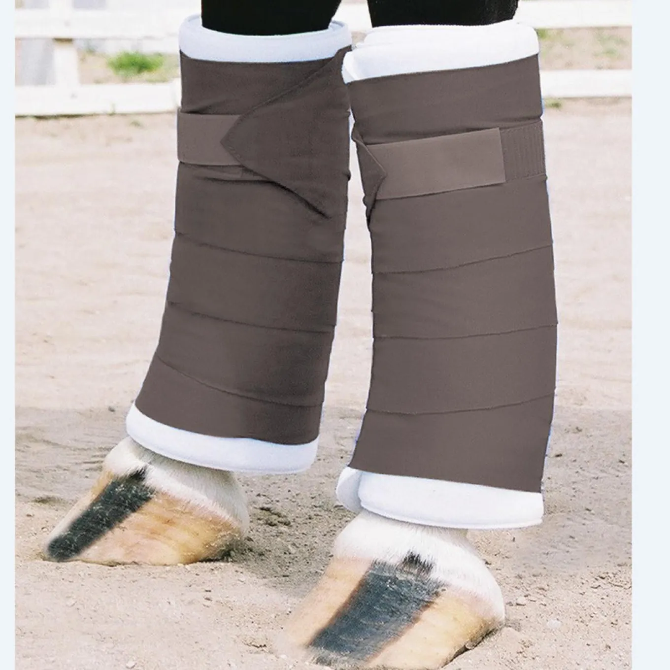 Shedrow Standing Bandages