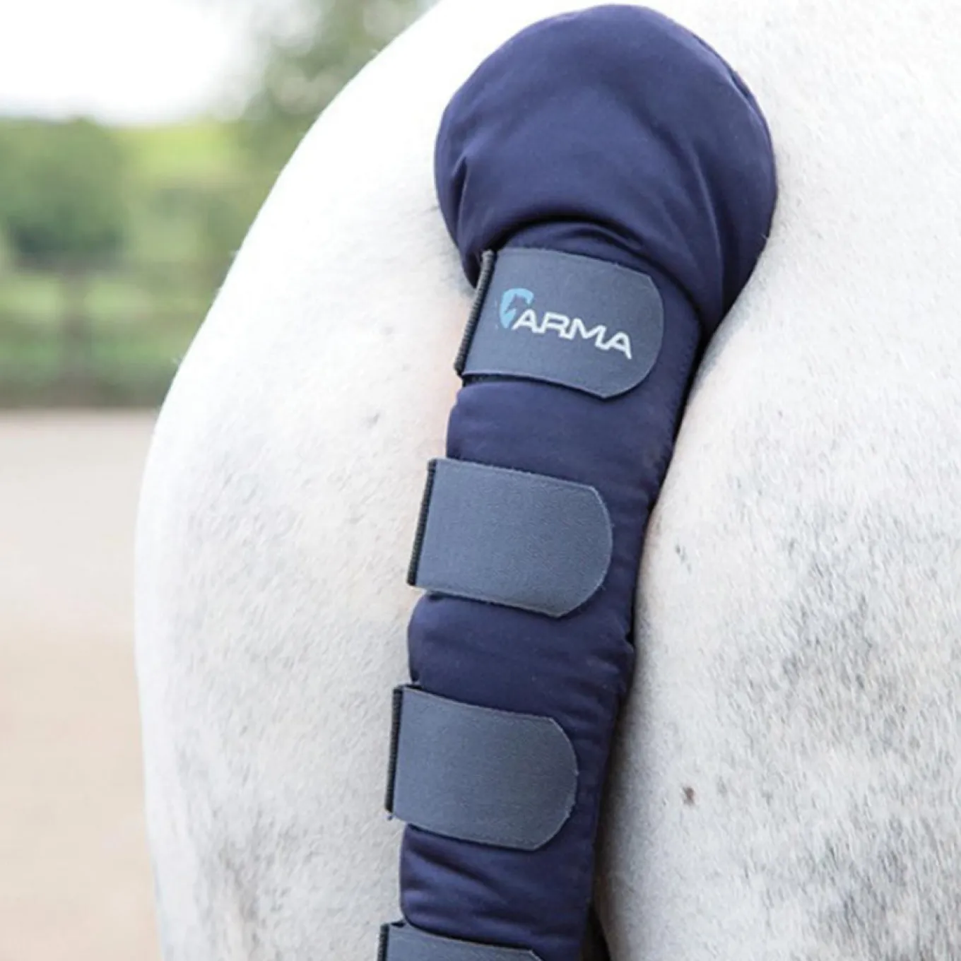 Shires Arma Padded Tail Guard
